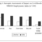 Fig.3: Surrogate Assessment of Impact on Livelihoods due to NREGS Employment, India (n= 240)