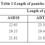 Table 1-Length of panicles