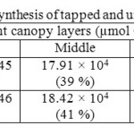 Table 10. Estimated canopy photosynthesis of tapped and untapped trees of clone RRIC 121