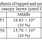 Table 9. Estimated canopy photosynthesis of tapped and untapped trees of clone RRISL 211