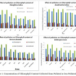 Figure 1. Concentration of Chlorophyll Content Collected from Polluted or less Polluted area.