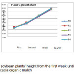 Figure 1. The rate of soybean plants’ height from the first week until the fourth week, by applying of acacia organic mulch