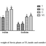 Figure 3. Dry weight of Stevia plants at T3, inside and outside the greenhouse. 