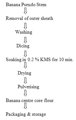 vol2_no1_stdy_Lkshmn_fig0