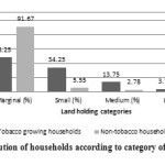 Fig 1: Distribution of households according to category of land holdings