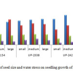 Figure 3: The effect of seed size and water stress on seedling growth of three wheat varieties
