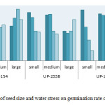 Figure 4: The effect of seed size and water stress on germination rate of three wheat varieties