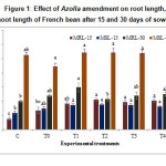 Figure 1: Effect of Azolla amendment on root length, shoot length of French bean after 15 and 30 days of sowing.