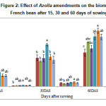 Figure 2: Effect of Azolla amendments on the biomass of French bean after 15, 30 and 60 days of sowing.