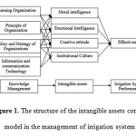Figure 1. The structure of the intangible assets control model in the management of irrigation system