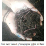 earthworm number, weight and biomass