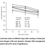 Figure 2: Leaf area index at different days after sowing of wheat grown under conventional nitrogen (CN) and dynamic nitrogen (DN) management. Vertical lines represent LSD at 5% level of significance.