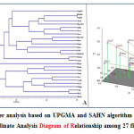 Figure 2: (A) Cluster analysis based on UPGMA and SAHN algorithm for 27 flax varieties (B) Principal Co-ordinate Analysis Diagram of Relationship among 27 flax varieties