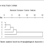 Figure 3: Cluster analysis based on 10 morphological characters of chickpea