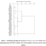 Figure 3 - Dendrogram grouping 38 accessions of Opuntia megacantha based on 10 morphological traits and Ward’s method. The red stars indicate accessions used for molecular analysis
