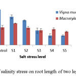 Fig 4: Effect of salinity stress on root length of two leguminous crops