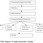 Fig. 2 Flow diagram of sample preparation of garlic