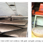 Fig 3: solar tunnel dryer at full load conditions with garlic and garlic pressing machine
