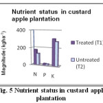Fig. 5 Nutrient status in custard apple plantation