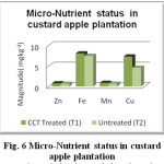 Fig. 6 Micro-Nutrient status in custard apple plantation