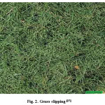 Fig. 2. Grass clipping [17] 