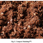 Fig. 5. Compost Mulching [17].