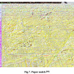 Fig.7. Paper mulch [20] 