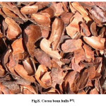 Fig.8. Cocoa bean hulls [17].
