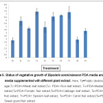 Figure 5. Status of vegetative growth of Bipolaris sorokiniana on PDA media and PDA media supplemented with different plant extract.