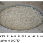 Figure 6: Rice cooked in the cooking chamber of MCSFP