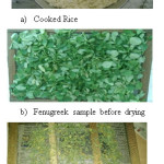Figure 9: Rice cooked in 2 Hrs on 24th November 2016 and Dried fenugreek leaves after 9 Hrs of drying on 24th and 25th November 2016