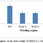 Fig.13. Effect of weeding regimes on dry straw weight of NERICA 1. Error bars represent S.E.D.