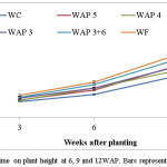 Fig. 3. Effect of weeding regime on plant height at 6, 9 and 12WAP. Bars represent S.E.D.