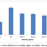 Fig. 9. Effective tiller count as influenced by weeding regimes at maturity. Bars represent S.E.D.