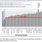 Figure 7: Resistance scenario of 27 mustard-rapeseed genotypes including control against Alternaria brassicicola