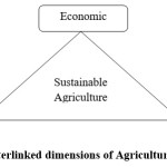 Fig. 1: The three interlinked dimensions of Agricultural Sustainability5.
