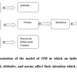 Fig. 2: A representation of the model of TPB in which an individual’s perceived behavioral control, attitudes, and norms affect their intention which ultimately defines their behavior29.