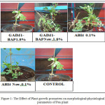Figure 1: The Effect of Plant growth promoters on morphological-physiological parameters of Pea plant