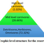 Figure 3: Trophic level structure for the reservoir species