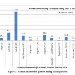 Figure 1: Rainfall distribution pattern during the crop season 