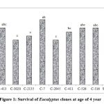 Figure 1: Survival of Eucalyptus clones at age of 4 year