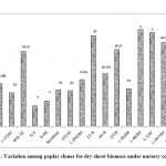    Figure 1: Variation among poplar clones for dry shoot biomass under nursery conditions