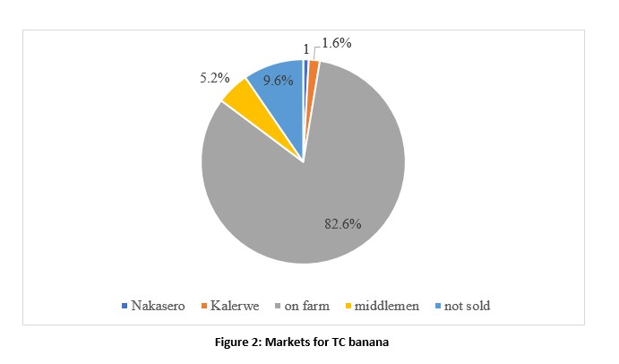 Figure 2: Markets for TC banana