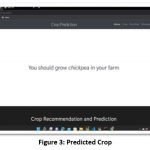 Figure 3: Predicted Crop