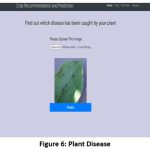 Figure 6: Plant Disease